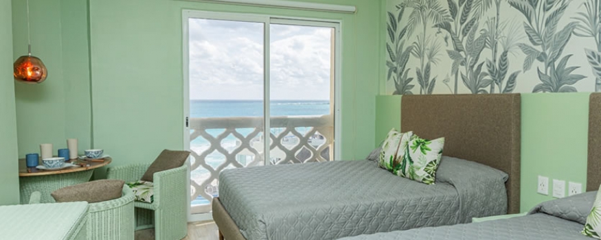 Standard Updated Studio