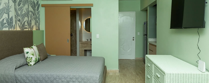 Standard Updated Studio